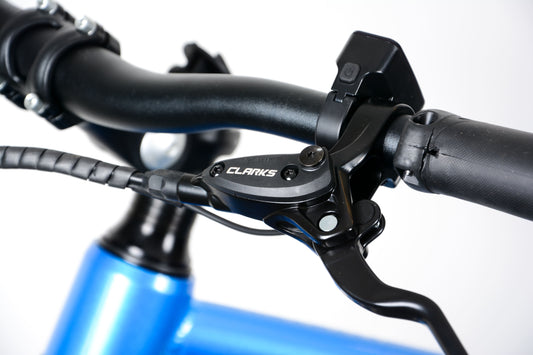 EBCO Urban 2R Roadster Electric Bike